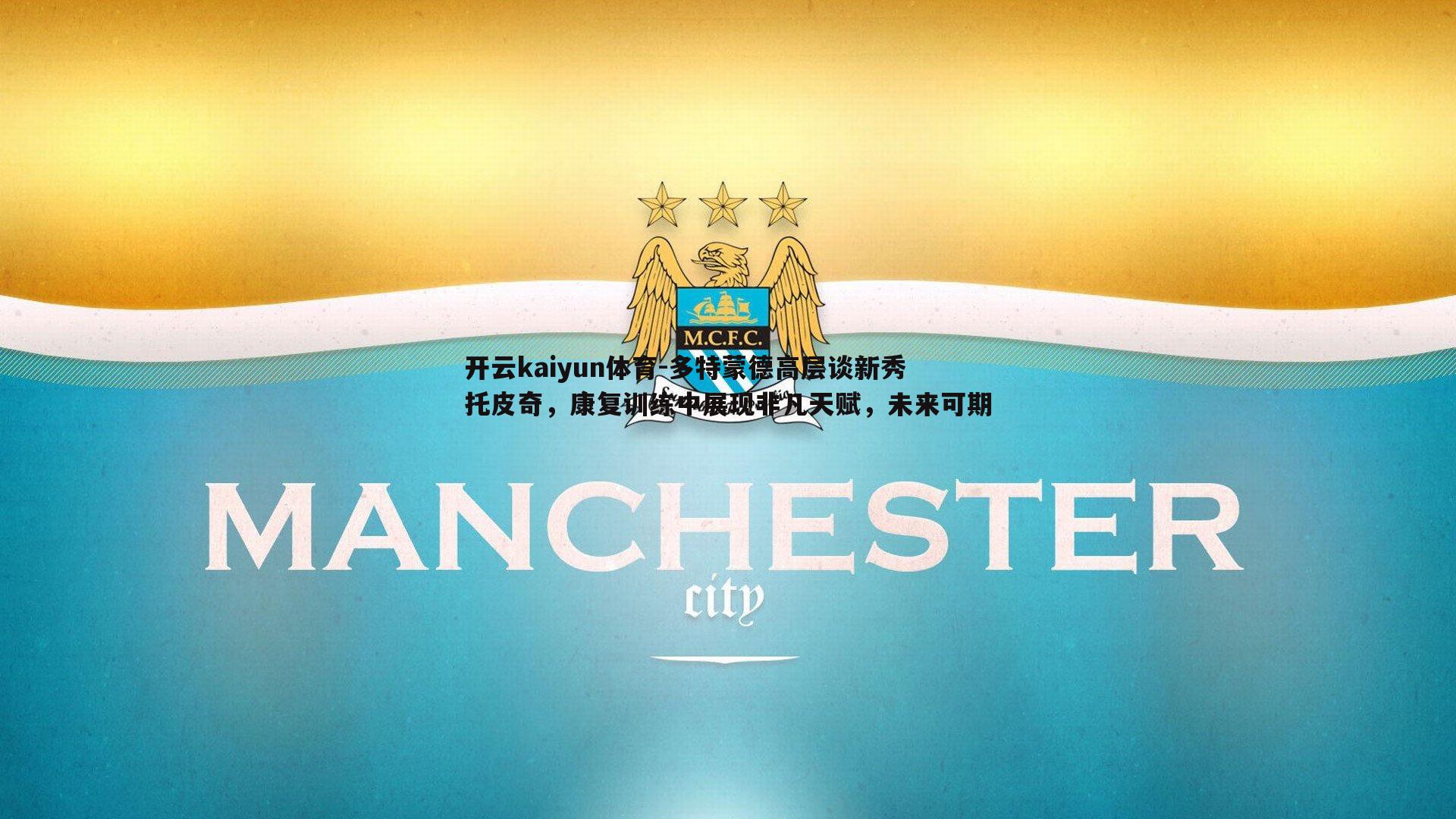 多特蒙德高层谈新秀托皮奇，康复训练中展现非凡天赋，未来可期